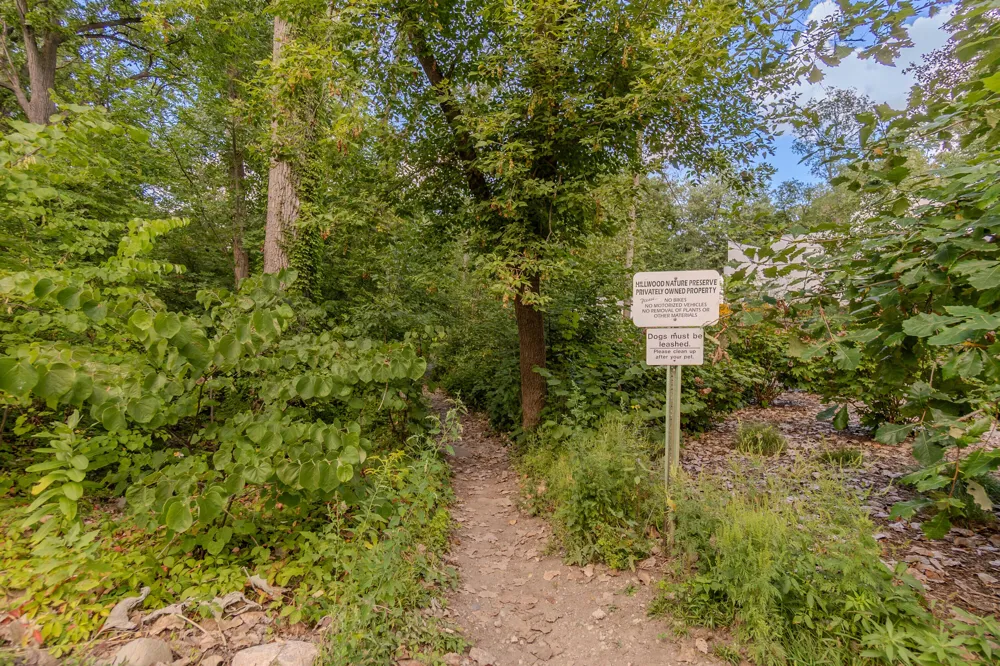 344 Rock Creek Court Ann Arbor Charter Township, MI 48104
