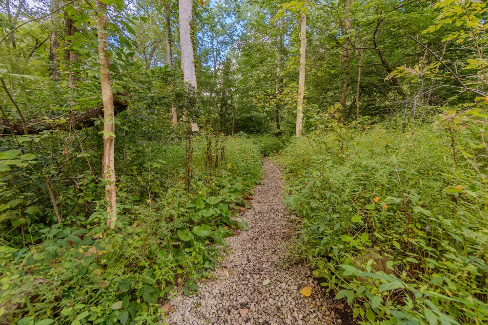344 Rock Creek Court Ann Arbor Charter Township, MI 48104