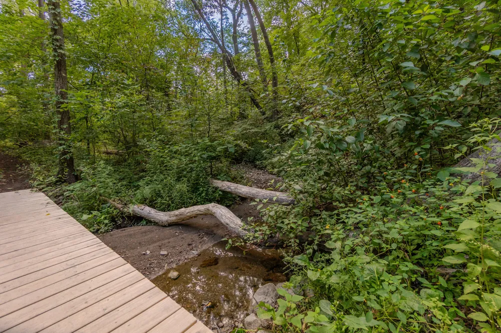 344 Rock Creek Court Ann Arbor Charter Township, MI 48104
