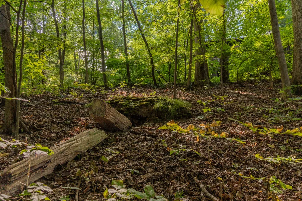 344 Rock Creek Court Ann Arbor Charter Township, MI 48104
