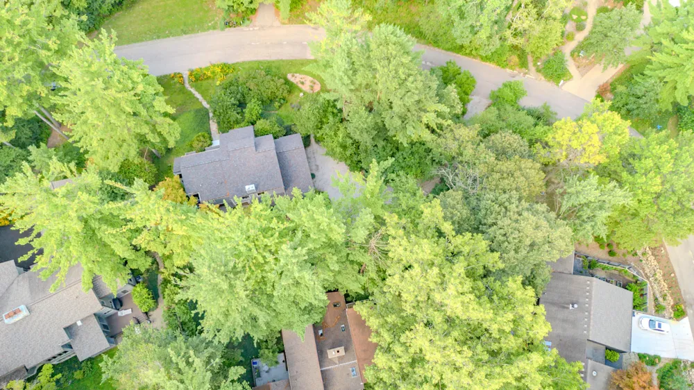 344 Rock Creek Court Ann Arbor Charter Township, MI 48104