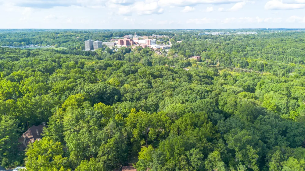 344 Rock Creek Court Ann Arbor Charter Township, MI 48104