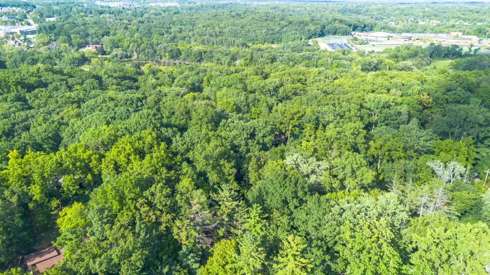 344 Rock Creek Court Ann Arbor Charter Township, MI 48104
