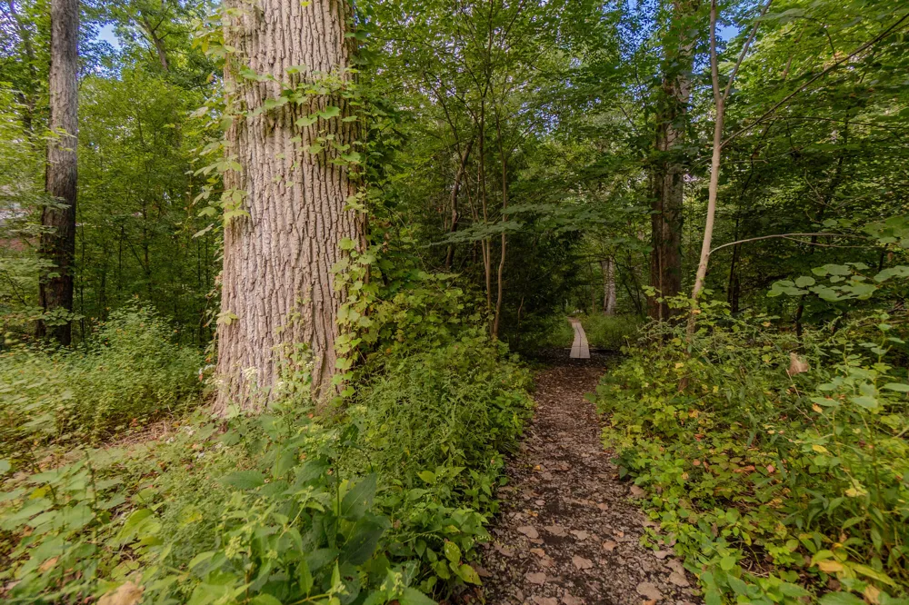 344 Rock Creek Court Ann Arbor Charter Township, MI 48104