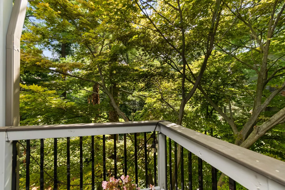 344 Rock Creek Court Ann Arbor Charter Township, MI 48104