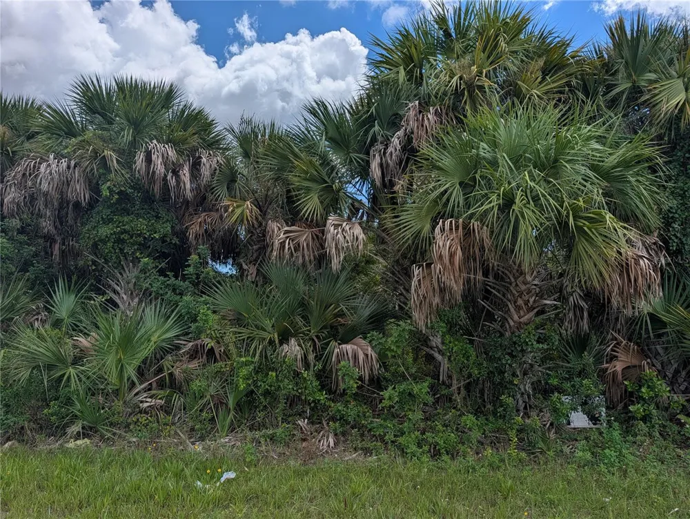 13337 APPLETON BOULEVARD Port Charlotte, FL 33981