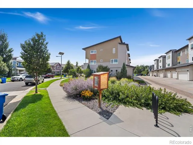 240 Urban Prairie Street #5 Fort Collins, CO 80524