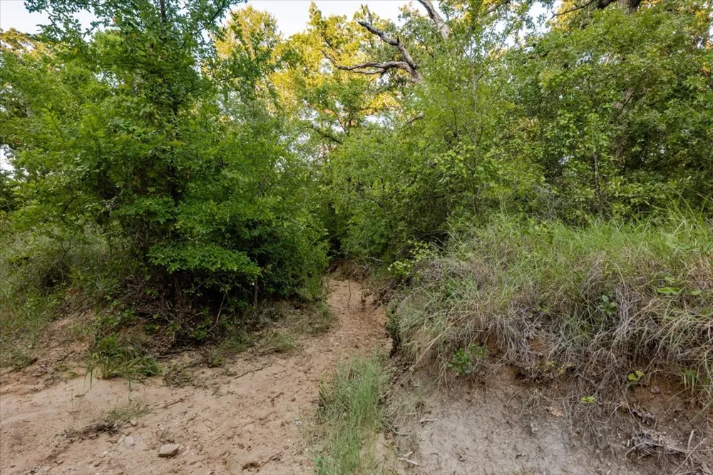 FM 1027 Carbon, TX 76435