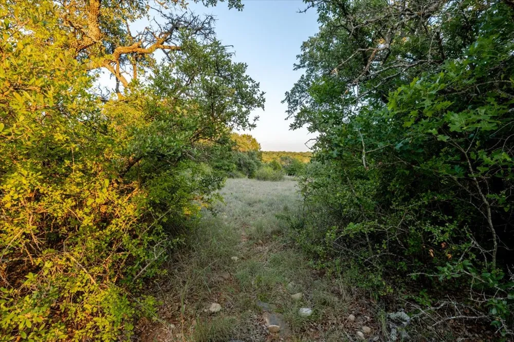 FM 1027 Carbon, TX 76435