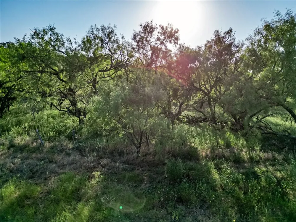 FM 1027 Carbon, TX 76435