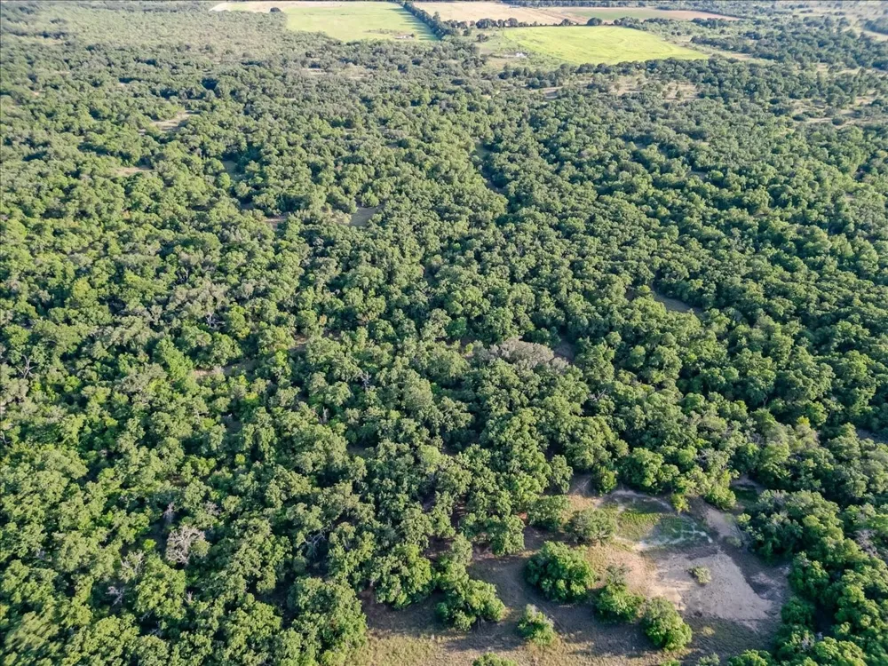 FM 1027 Carbon, TX 76435