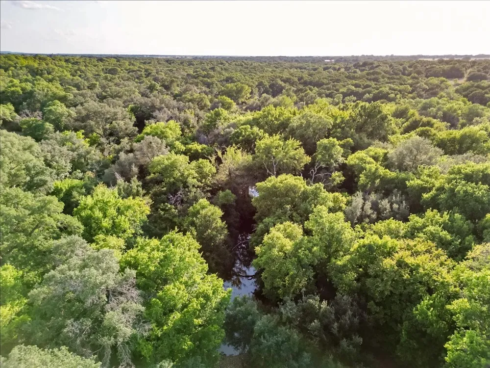 FM 1027 Carbon, TX 76435