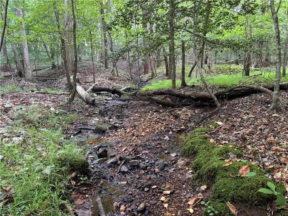 Lot 21 Norton Lane Dahlonega, GA 30533