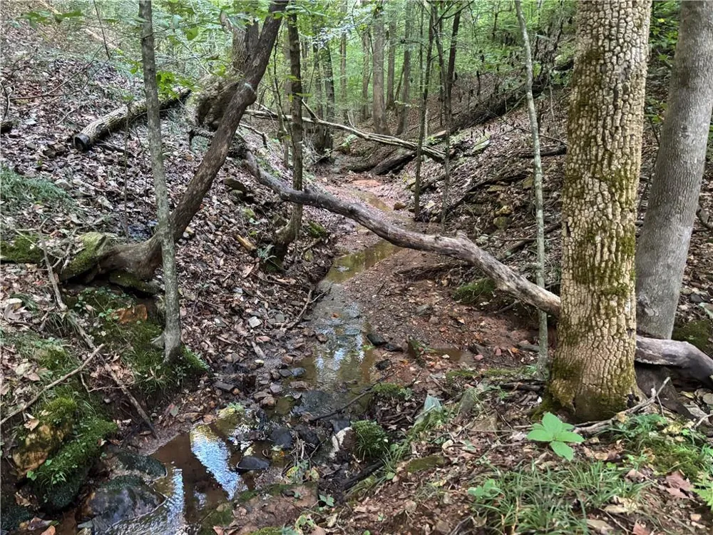 Lot 21 Norton Lane Dahlonega, GA 30533