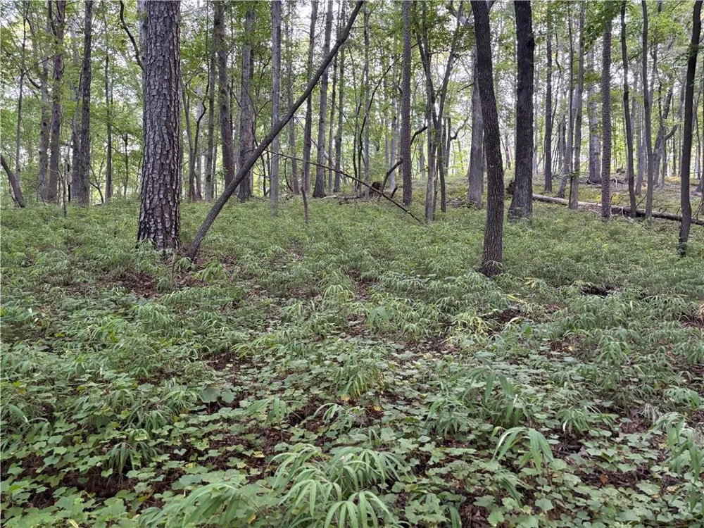 Lot 21 Norton Lane Dahlonega, GA 30533