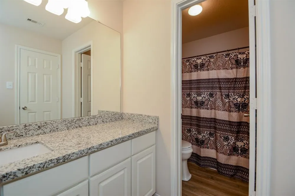 29459 Forest Floor Lane Spring, TX 77386