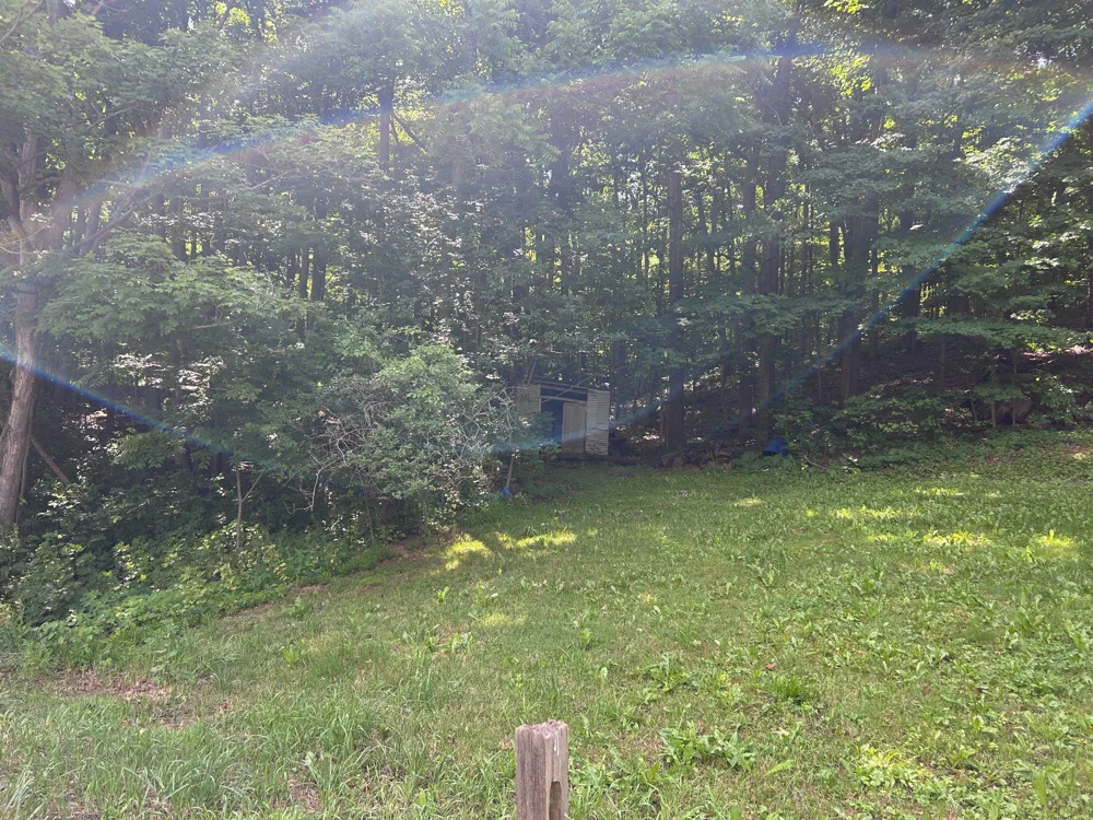 17738 AMBERSON ROAD Spring Run, PA 17262
