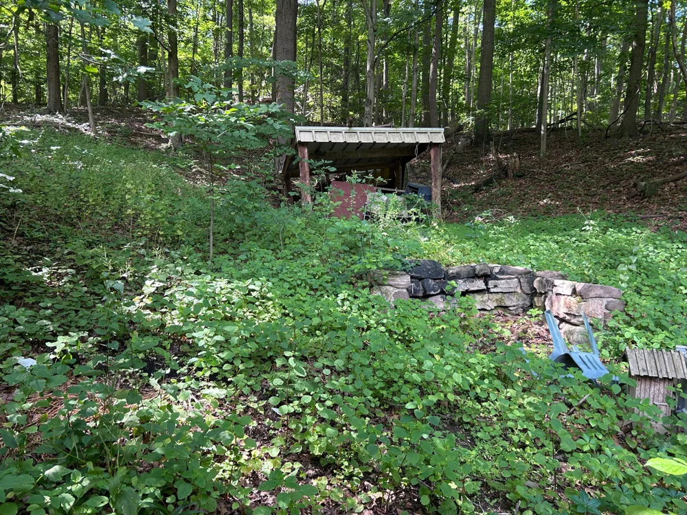 17738 AMBERSON ROAD Spring Run, PA 17262