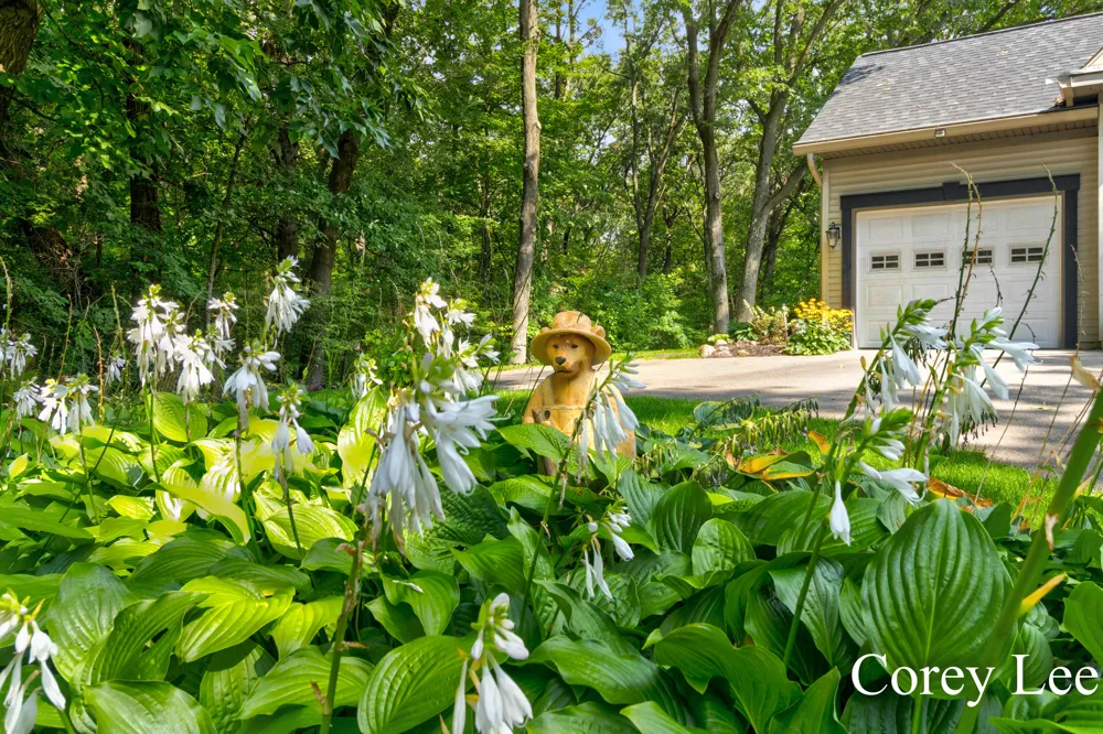 8484 Rocky Pines Drive NE Rockford, MI 49341