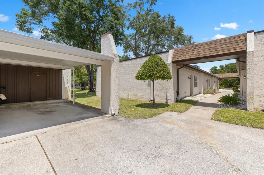 3137 MISSION GROVE DRIVE #3137 Palm Harbor, FL 34684