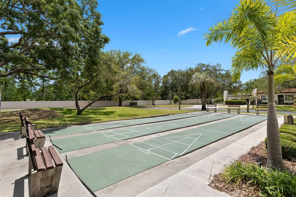 3137 MISSION GROVE DRIVE #3137 Palm Harbor, FL 34684