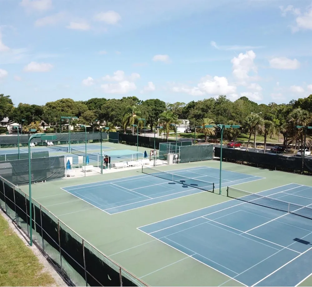 3137 MISSION GROVE DRIVE #3137 Palm Harbor, FL 34684