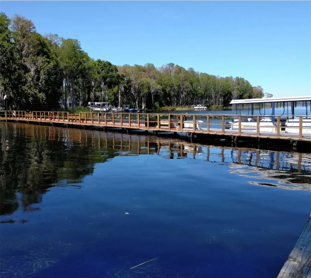 3137 MISSION GROVE DRIVE #3137 Palm Harbor, FL 34684