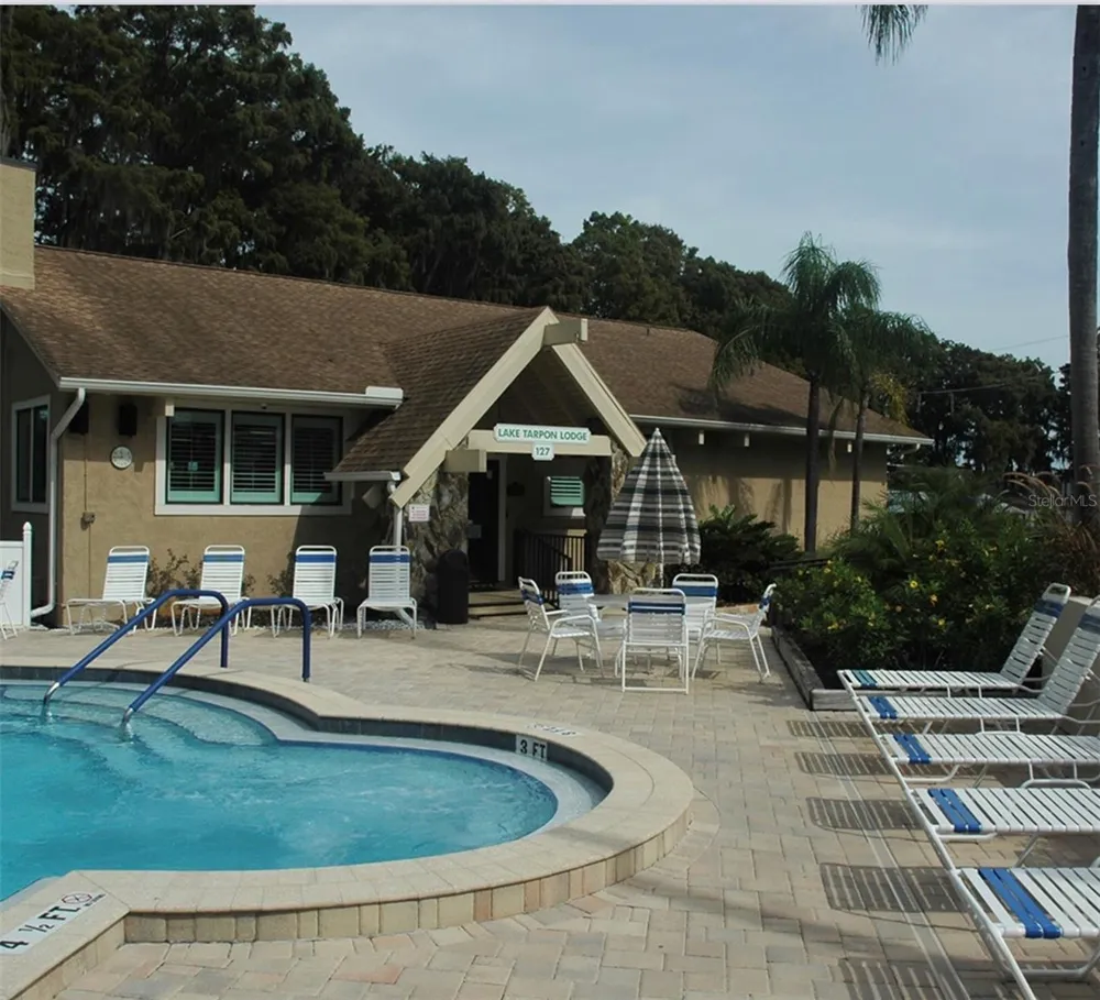 3137 MISSION GROVE DRIVE #3137 Palm Harbor, FL 34684