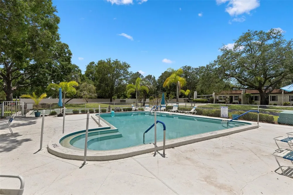 3137 MISSION GROVE DRIVE #3137 Palm Harbor, FL 34684