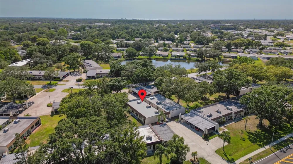 3137 MISSION GROVE DRIVE #3137 Palm Harbor, FL 34684
