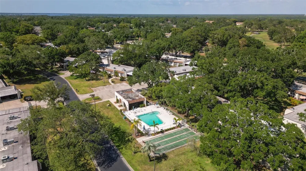 3137 MISSION GROVE DRIVE #3137 Palm Harbor, FL 34684
