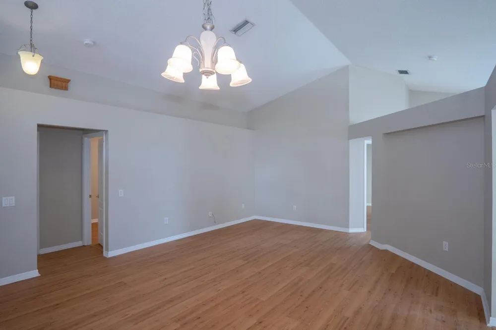 10815 LAKESIDE VISTA DRIVE Riverview, FL 33569