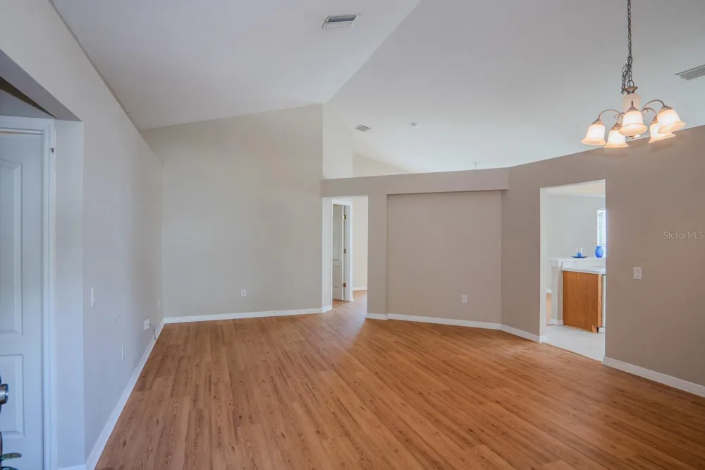 10815 LAKESIDE VISTA DRIVE Riverview, FL 33569
