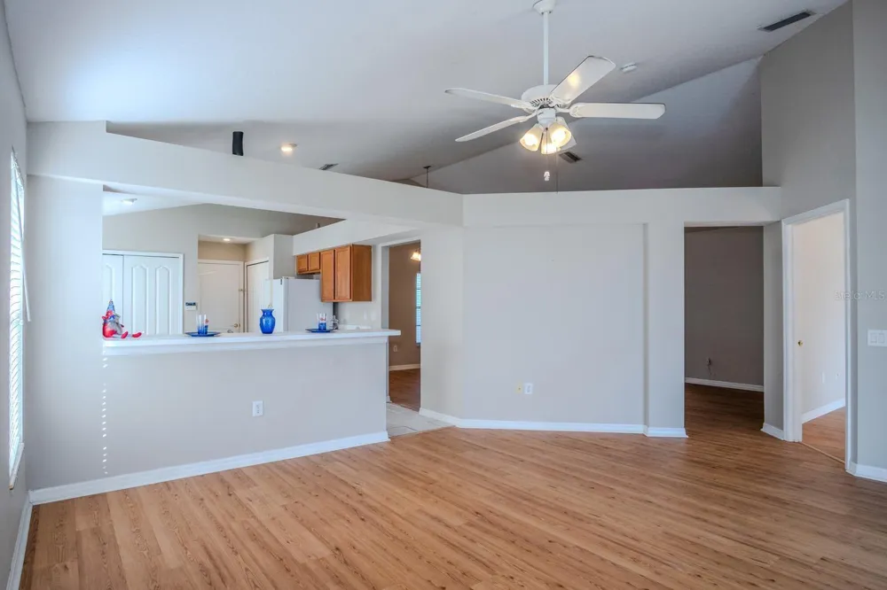 10815 LAKESIDE VISTA DRIVE Riverview, FL 33569