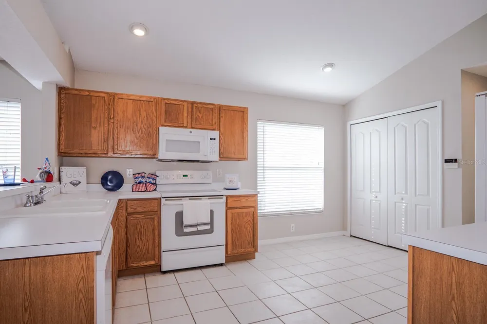 10815 LAKESIDE VISTA DRIVE Riverview, FL 33569