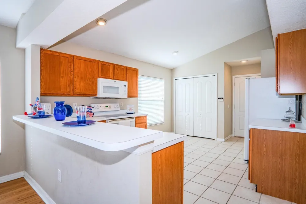 10815 LAKESIDE VISTA DRIVE Riverview, FL 33569