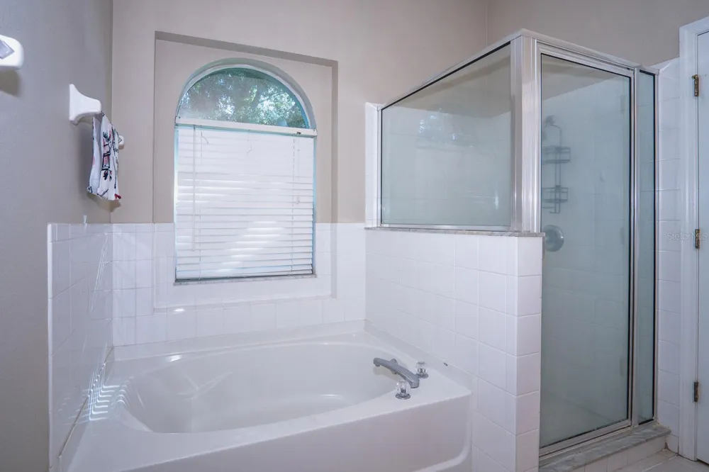 10815 LAKESIDE VISTA DRIVE Riverview, FL 33569
