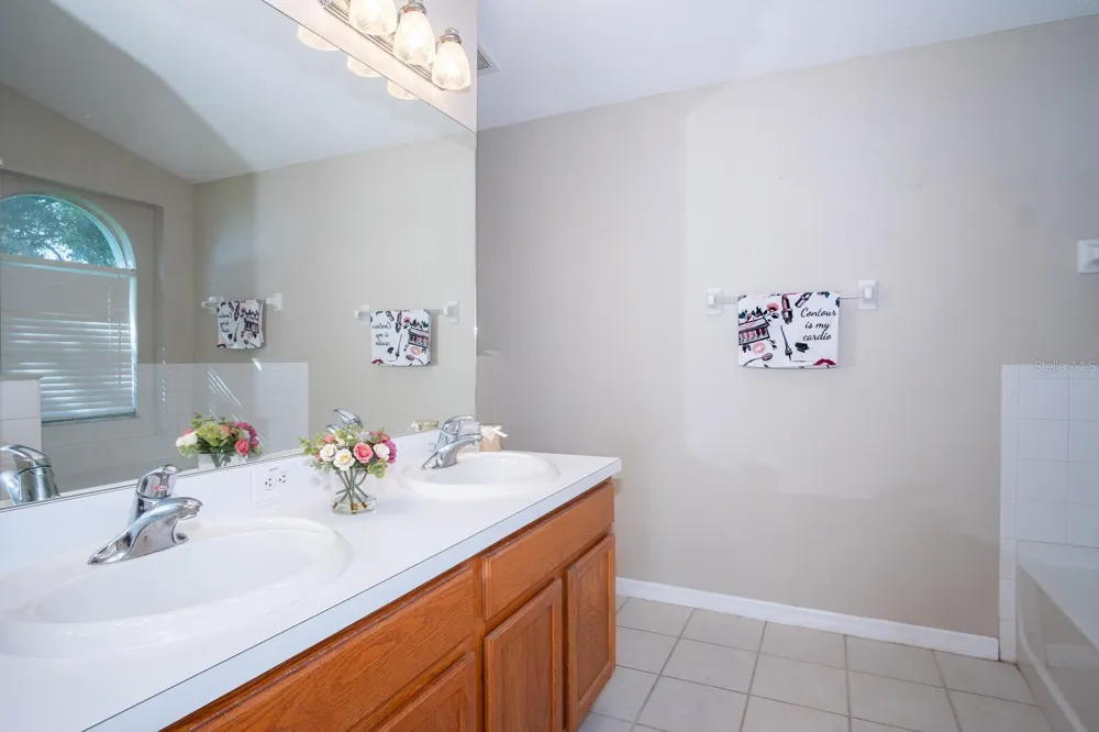 10815 LAKESIDE VISTA DRIVE Riverview, FL 33569