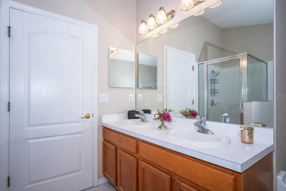 10815 LAKESIDE VISTA DRIVE Riverview, FL 33569