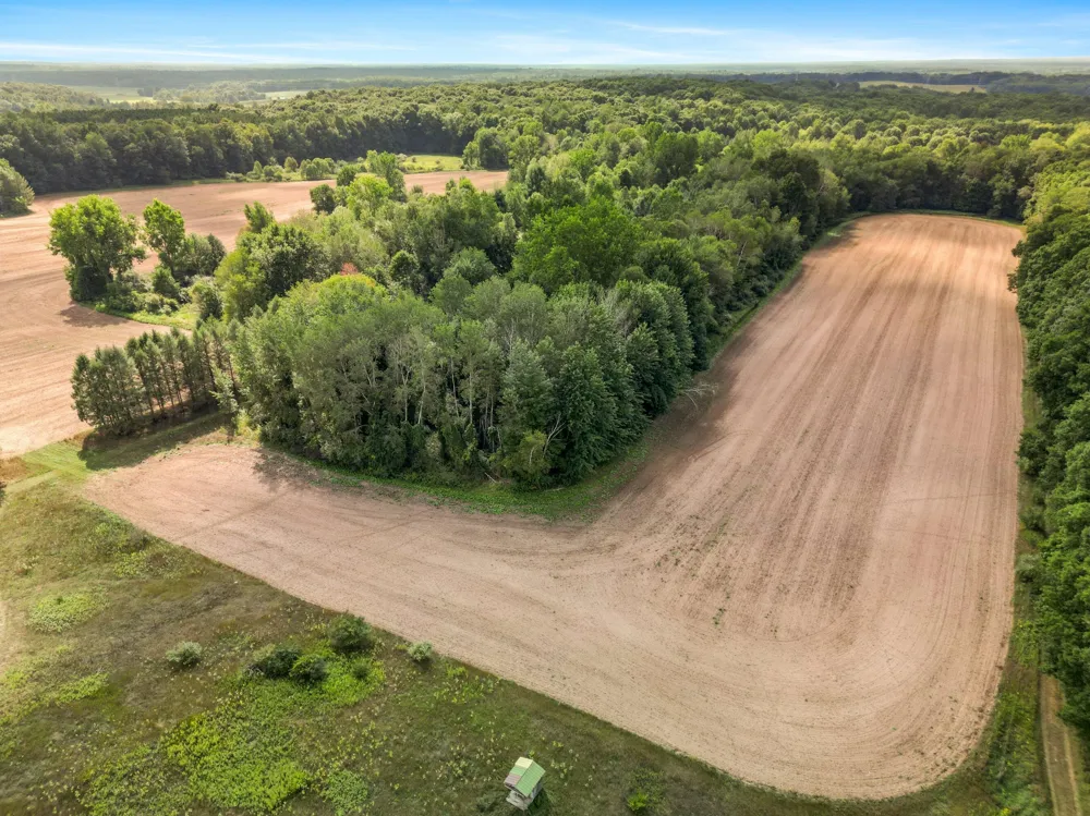 5221 S Maple Island Road Greenwood Township, MI 49421