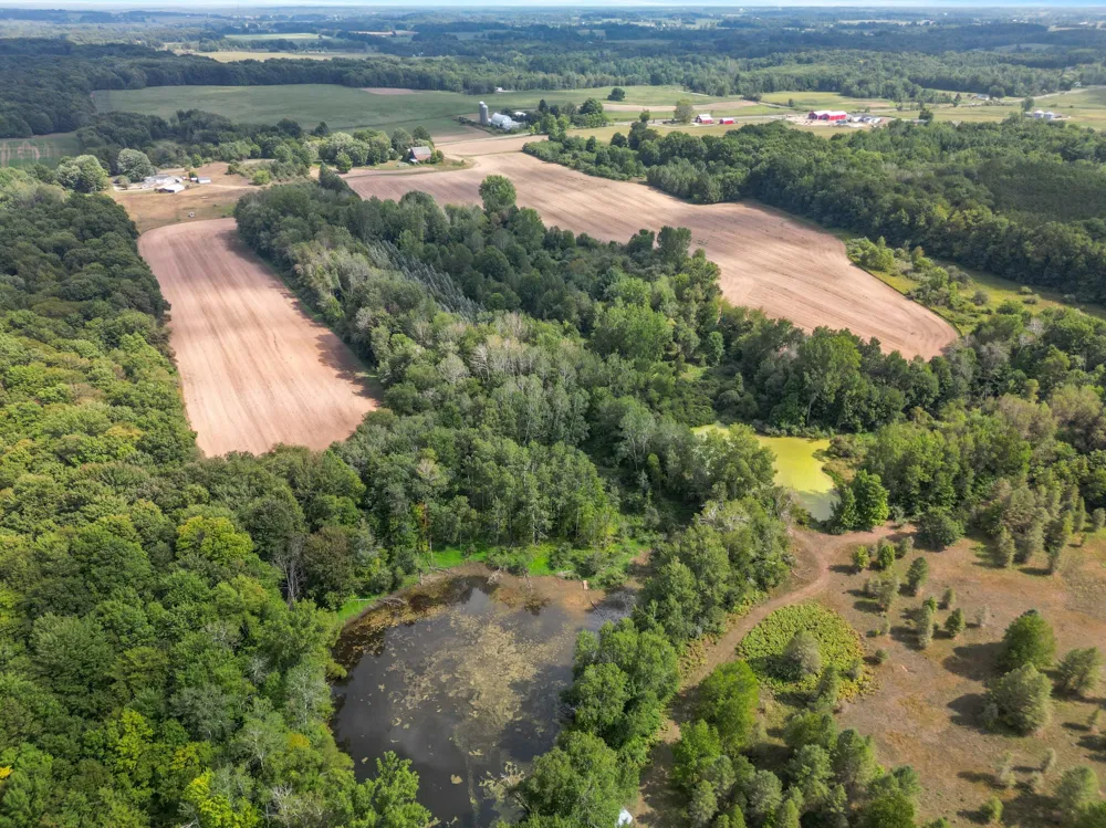 5221 S Maple Island Road Greenwood Township, MI 49421