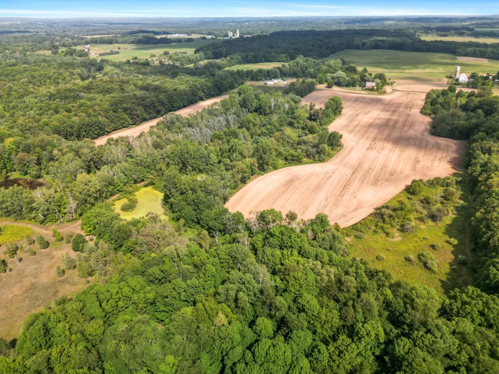 5221 S Maple Island Road Greenwood Township, MI 49421