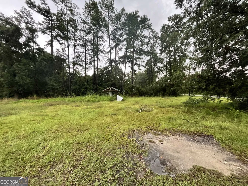 6760 Margaret DR Blackshear, GA 31516