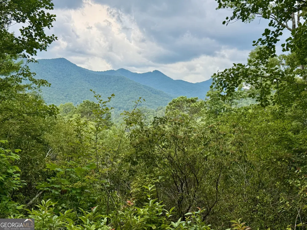 LOT 6 Raven Fork TRL Dillard, GA 30537