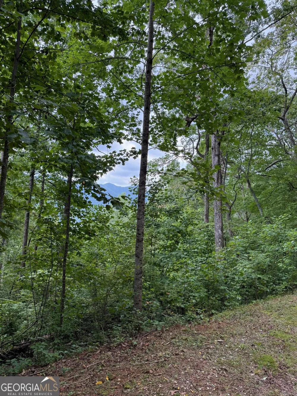 LOT 6 Raven Fork TRL Dillard, GA 30537