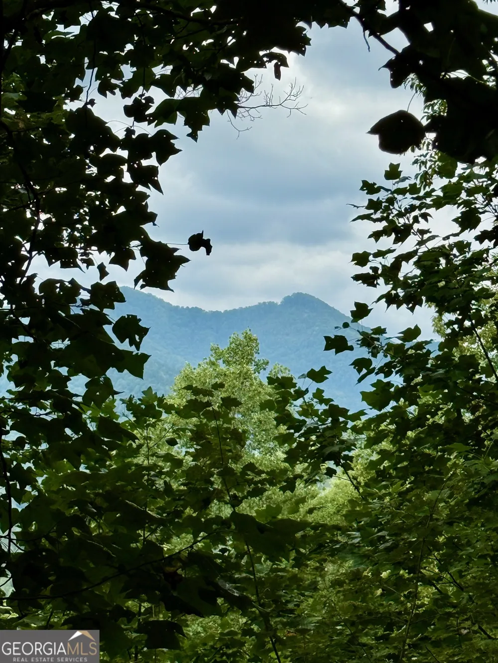 LOT 6 Raven Fork TRL Dillard, GA 30537
