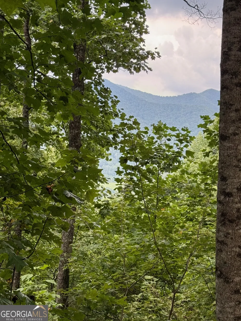 LOT 6 Raven Fork TRL Dillard, GA 30537