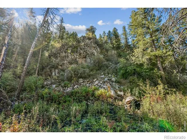 511 Riverside Drive Lyons, CO 80540