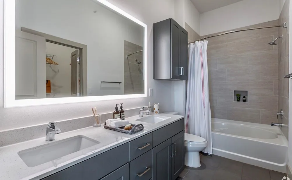 160 Birdsall Street #2411 Houston, TX 77007