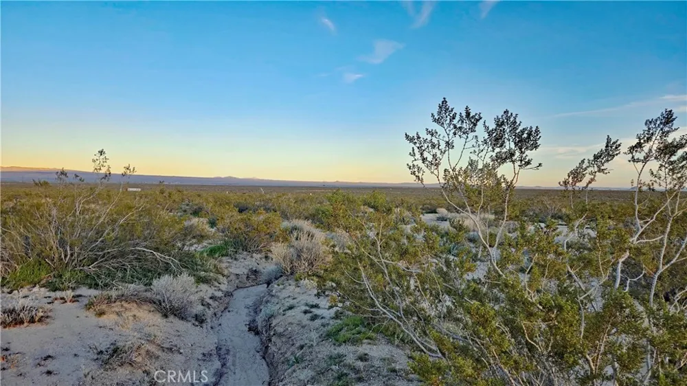 Rose Ave Mojave, CA 93501